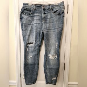 Judy Blue Plus size Skinny fit jeans